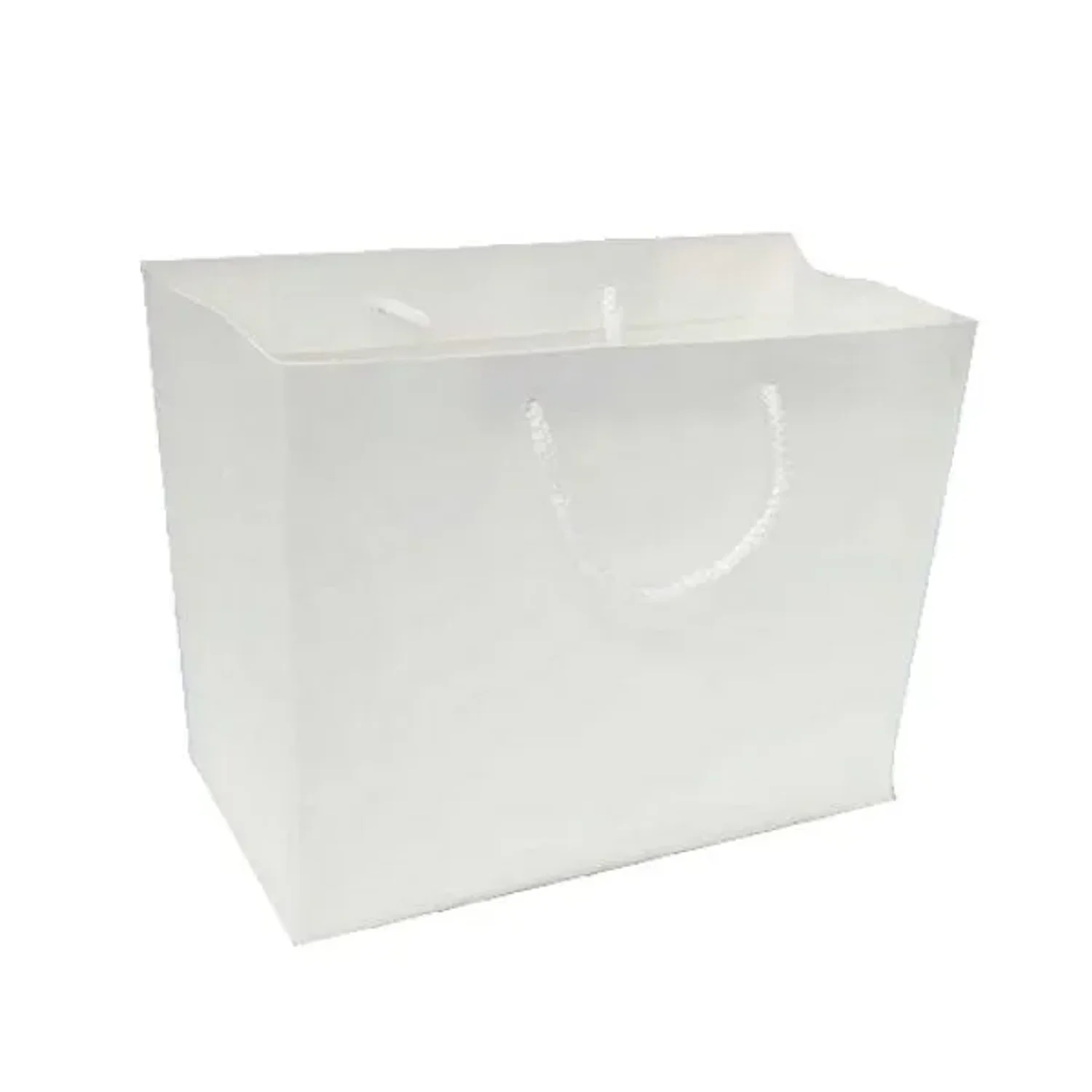 화이트 공진단종이쇼핑가방 23X19X25cm
