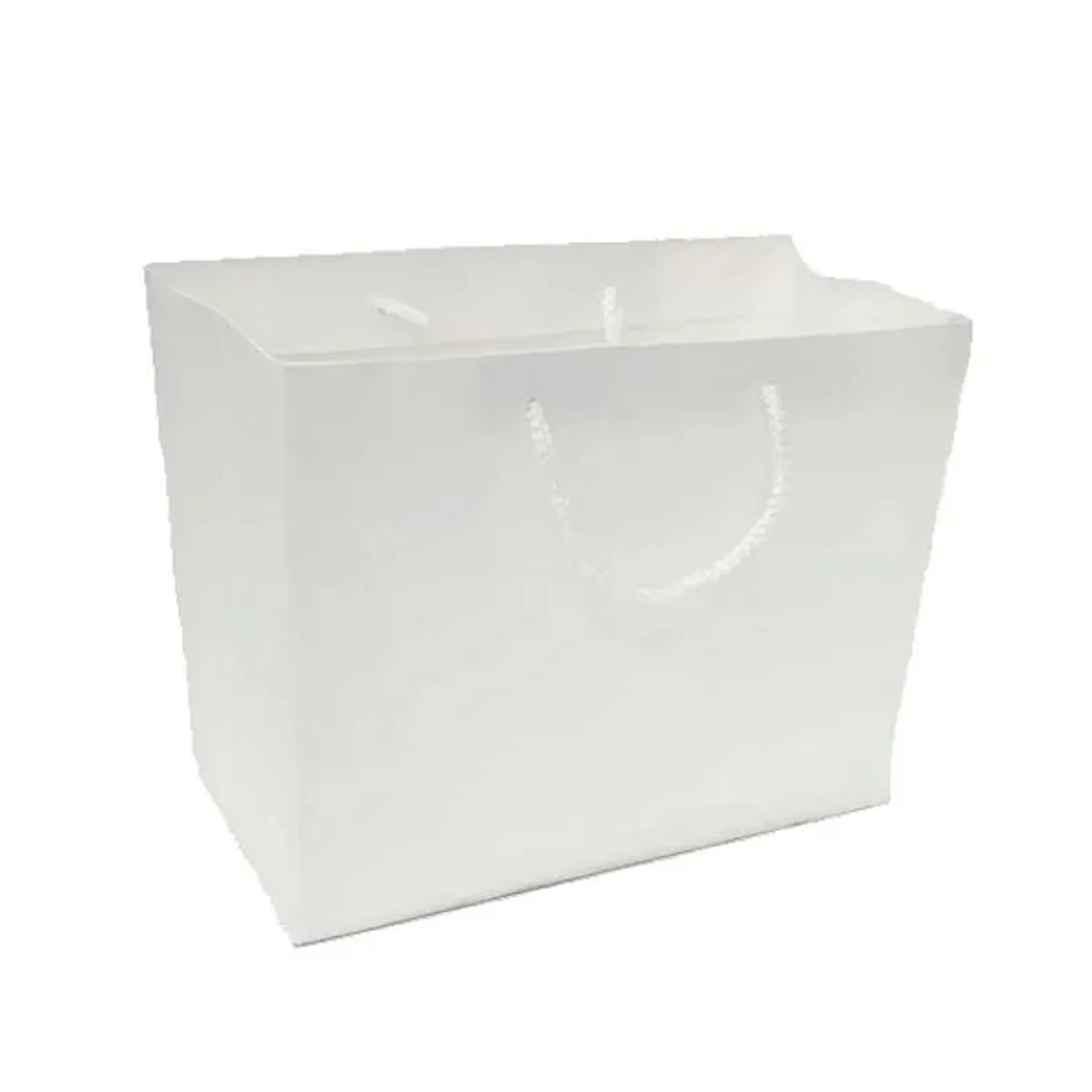 화이트 공진단종이쇼핑가방 25.4X12X22cm
