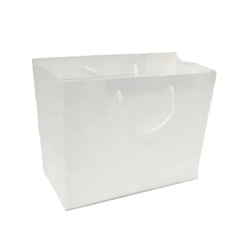 화이트 공진단종이쇼핑가방 25.4X12X22cm