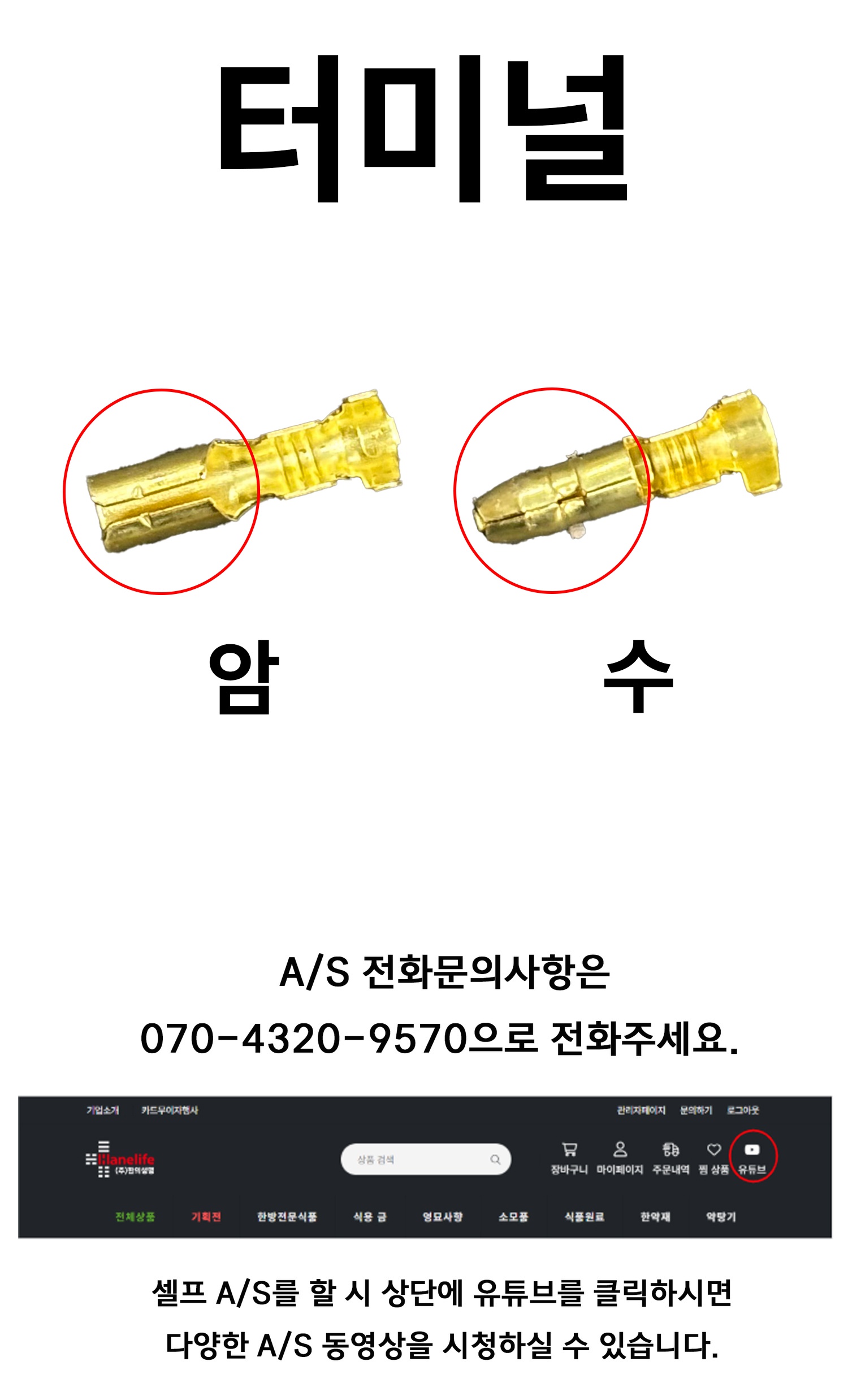 터미널(암,수)